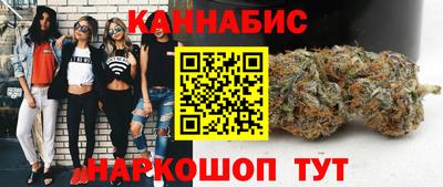 сатива Ставрополь
