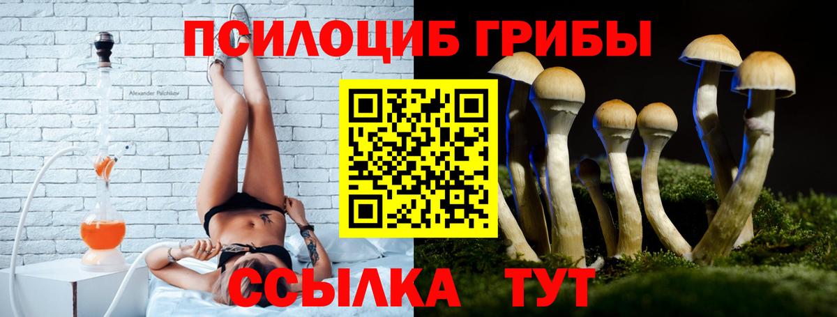 Галлюциногенные грибы MAGIC MUSHROOMS  Вход с VPN  Мыски 